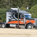trailers modificados3