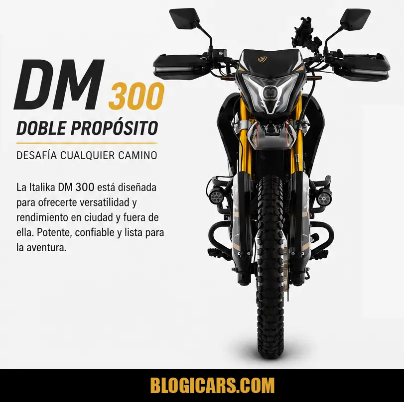 DM 300 Italika
